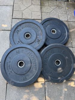 Rogue plates 25x2 . 15x2 . A little  bit shake in the hole
