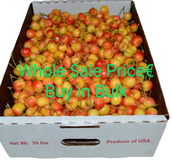 Ryanair Cherrys And Red Cherrys Wholesale Prices