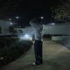 Zoomstars