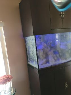 250 gallon fish tank sales