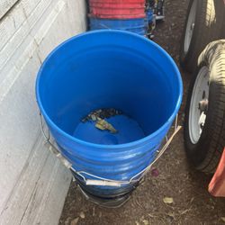 Plastic Buckets 