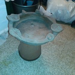 Bird Bath