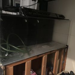 Acrylic. 125 Gallon Fish Tank For Sale.