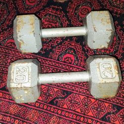 1 Pair 20 Lbs Dumbbell Pickup Only Cash 