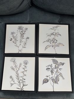Set of 4 Botanical Wall Art Prints