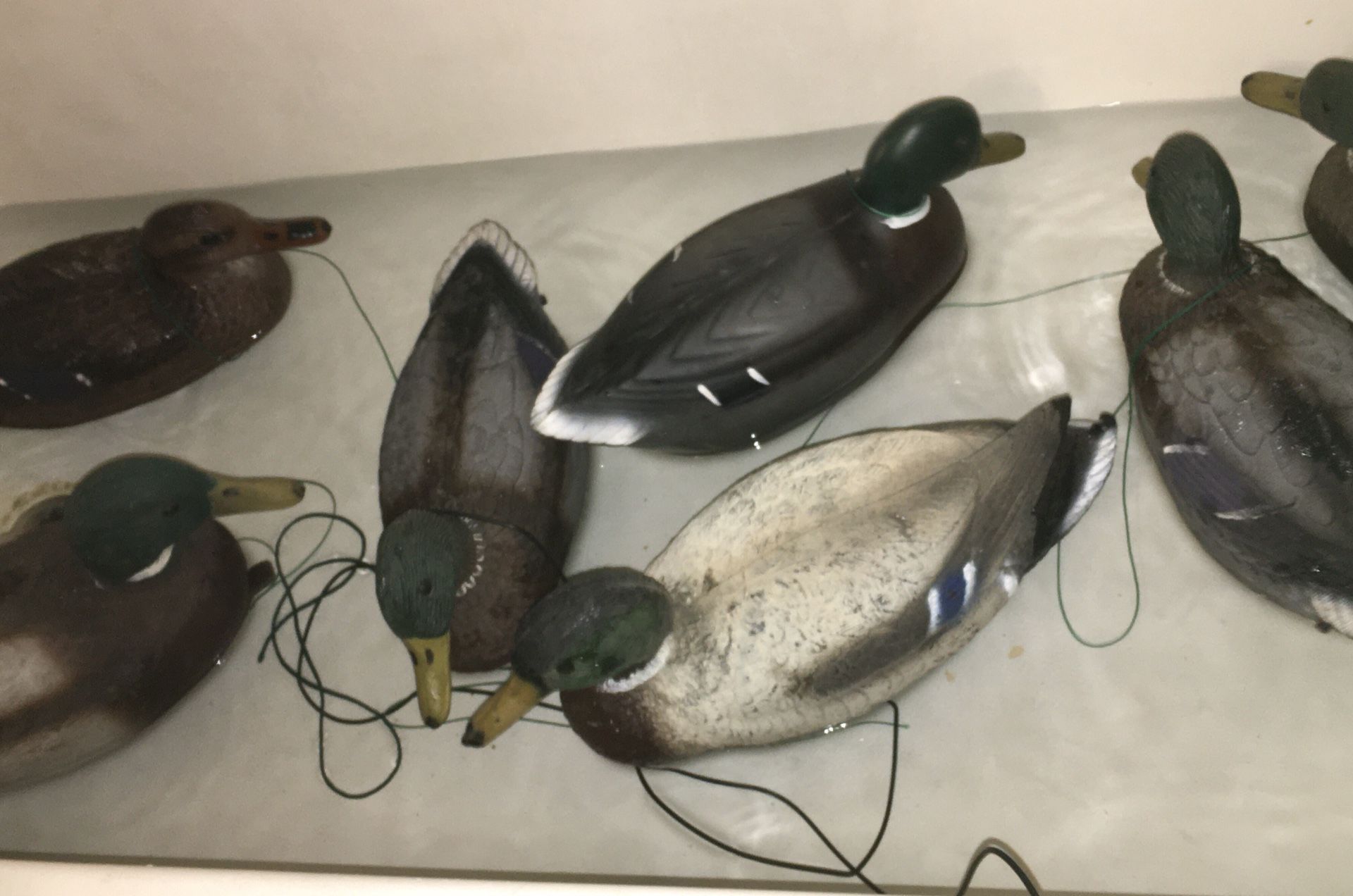 Vintage duck decoys