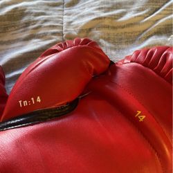 Gloves Everlast  Like New