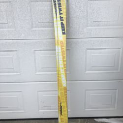 Elan Skis