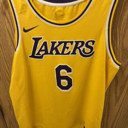 LeBron James #6 Icon Jersey XL