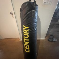 Century Punching Bag