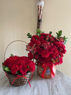 Ollita arrangements