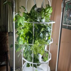 Tower Garden HOME w/ Support Cage + Starter Kit (Used/ Like New)