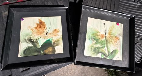 Butterfly  oil paintings set of 2