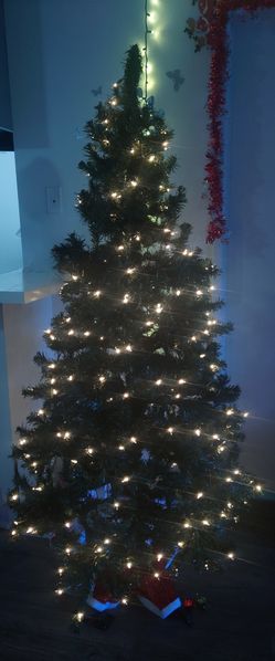 Christmas Tree 🎄 🌲🎅