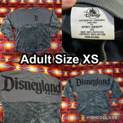 Disneyland Resort Spirit Jersey Gray Mickey Mouse Velour Sweatshirt Adult XS