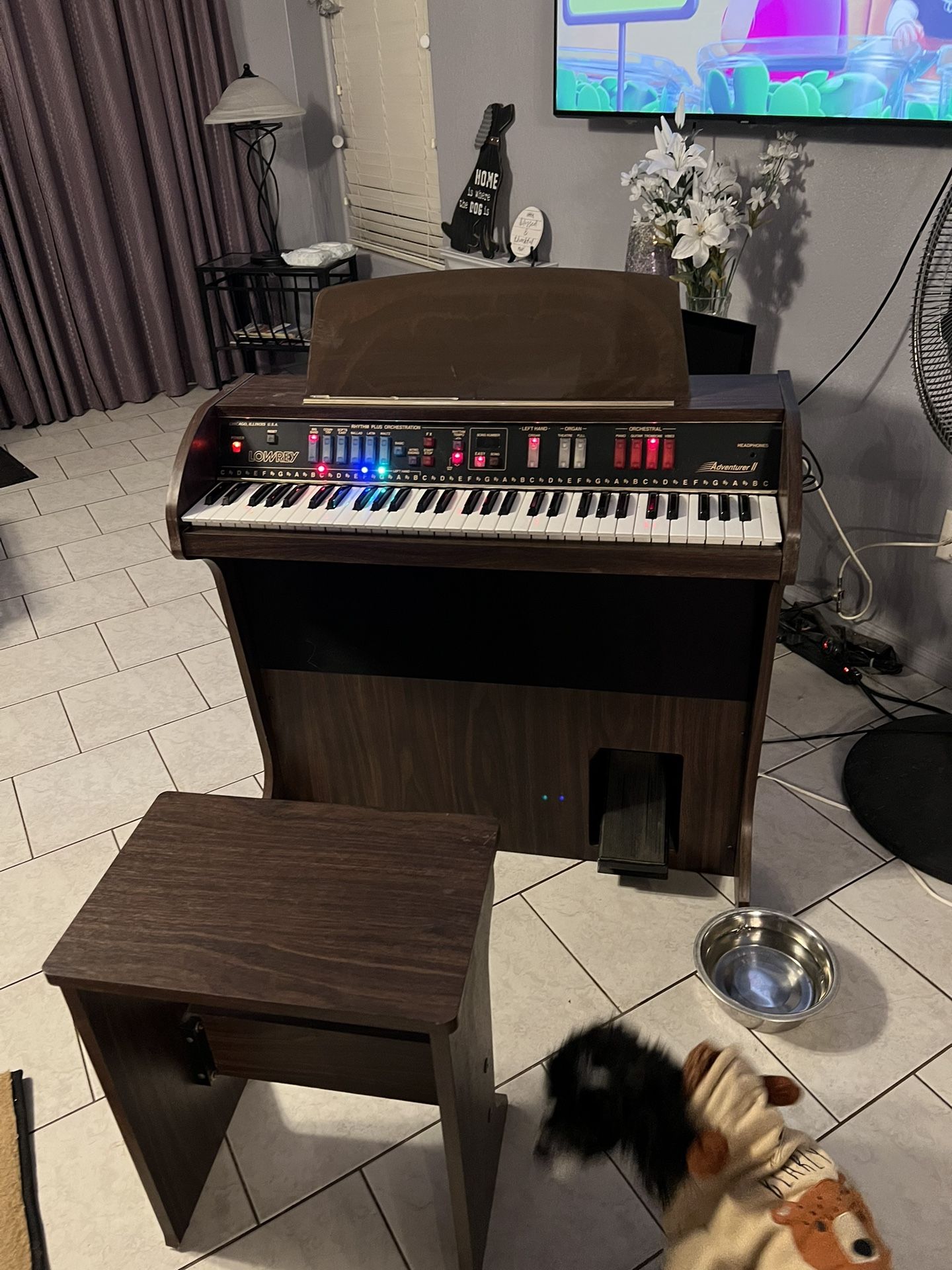 Organ Electric