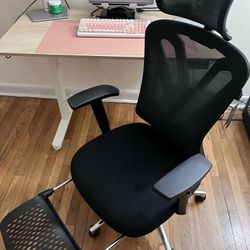 Ergonomic Office Chair