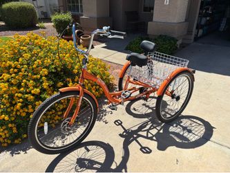 Adult 3 Wheel Bike