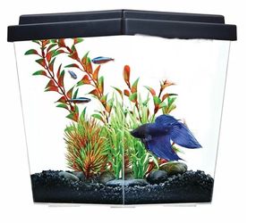 Top Fin Corner Plastic Aquarium Kit with Lid