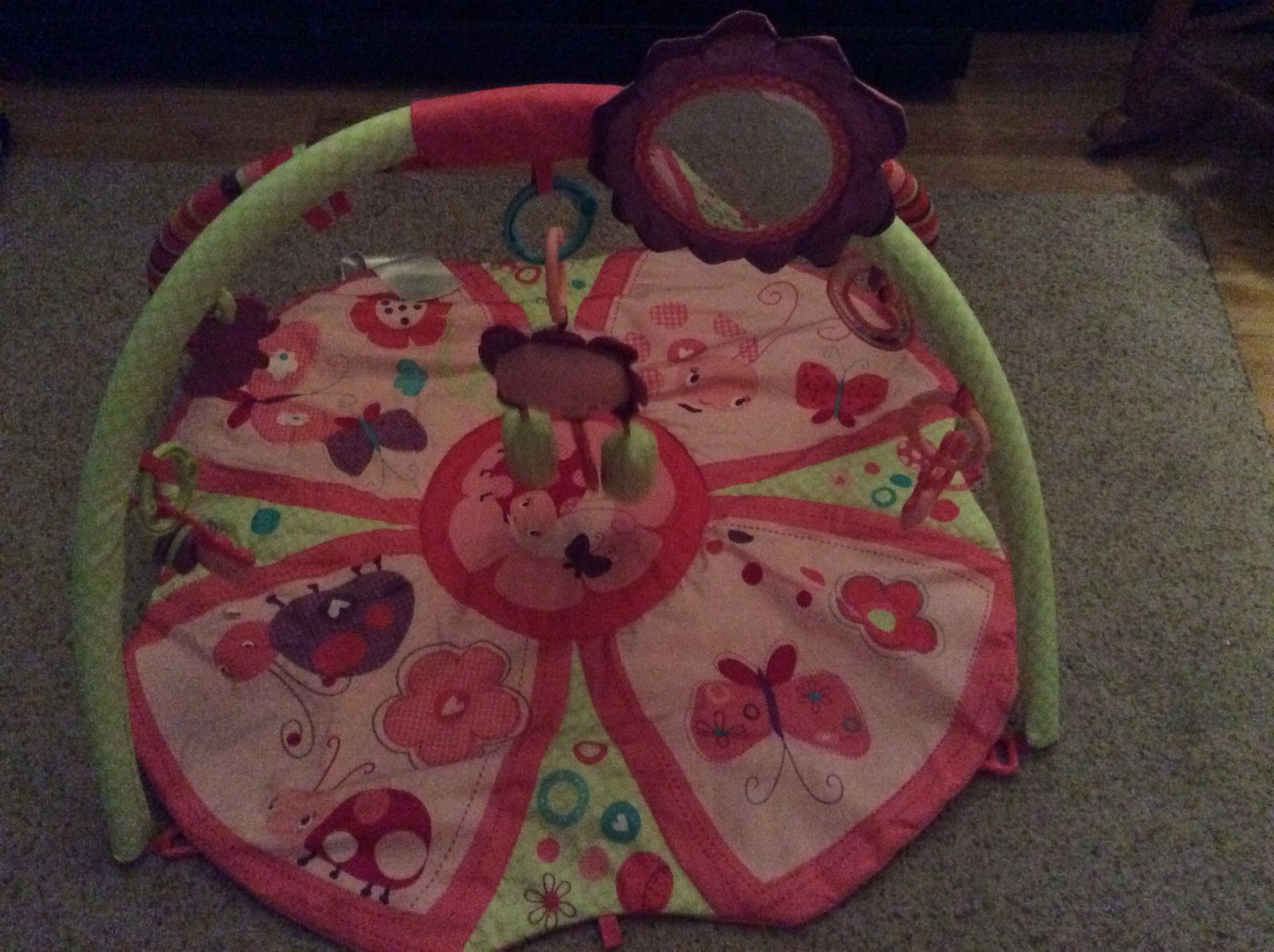 Giggles Garden Activity mat with toys like new still in storage bag