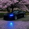 @qictor on IG