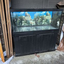 75 gallon Animal Tank+Cabinet