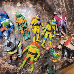 Teenage Mutant Ninja Turtles 