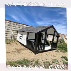 interview young Warm Dog Houses - Your Pet's Ideal Living Space