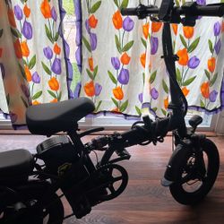 Electric E Bike