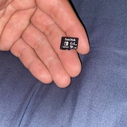 sandisk SD card drive for switch