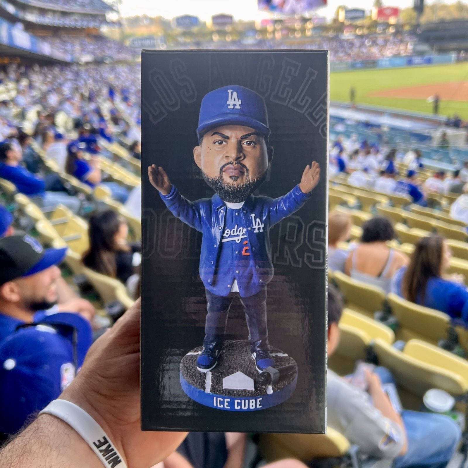 Ice Cube Bobble Head