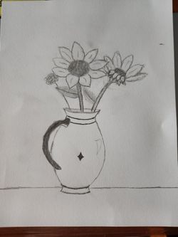Sunflower drawing
