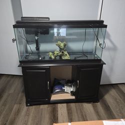55 Gallon Tank 
