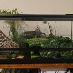 Reptile Tank