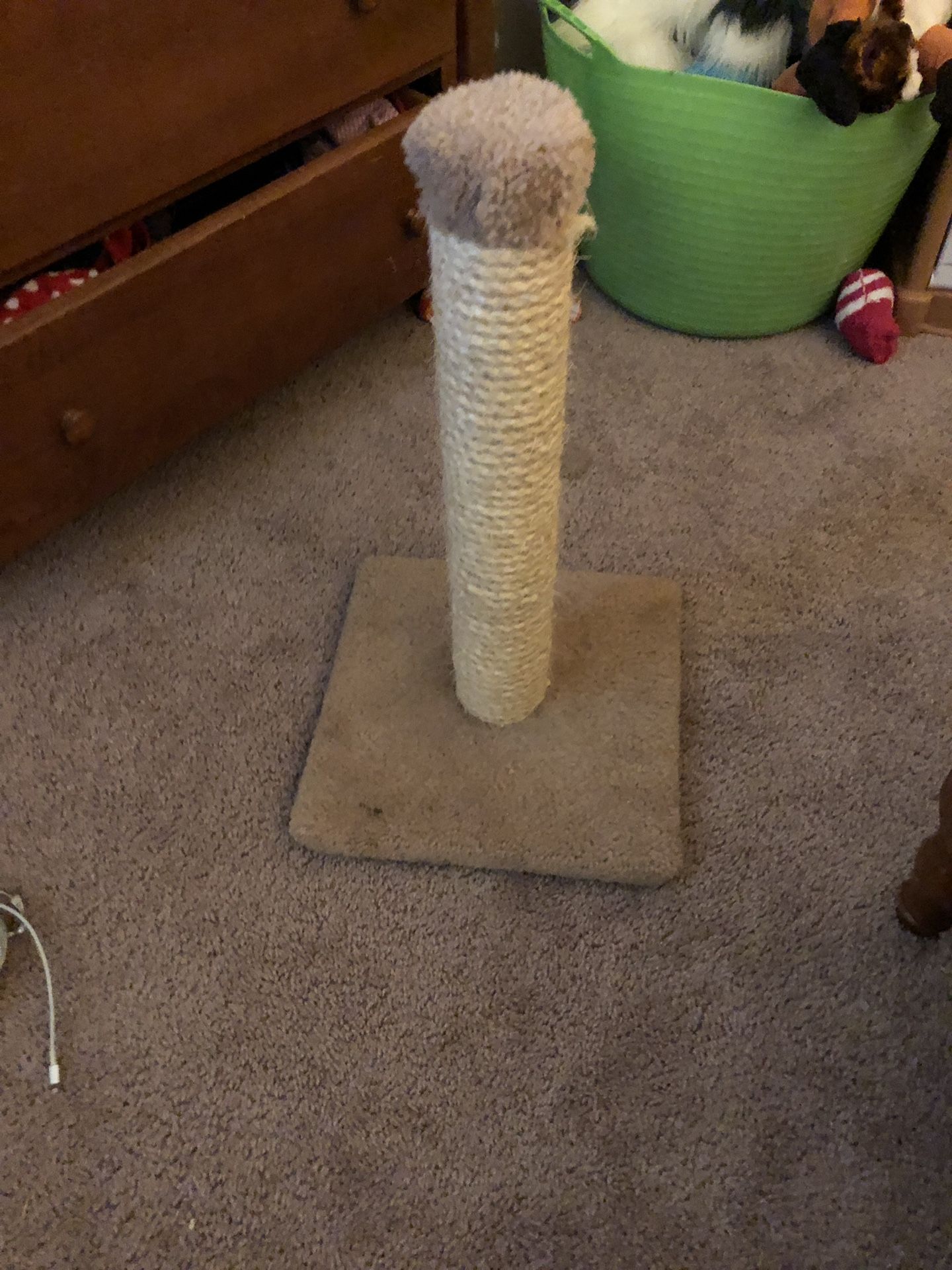 Cat post
