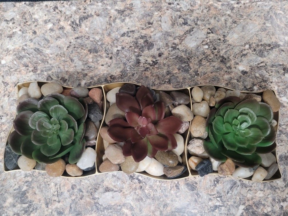 Artificial Succulant Arrangement