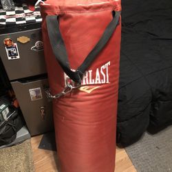 Red Everlast Punching Bag.