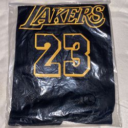 LeBron James Lakers White And Blue Jersey! for Sale in Vero Beach, FL -  OfferUp