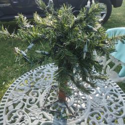 Light Up Tree With cast Iron Base