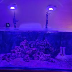 AIO Saltwater Aquarium 