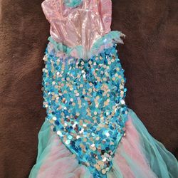 Mermaid Costume