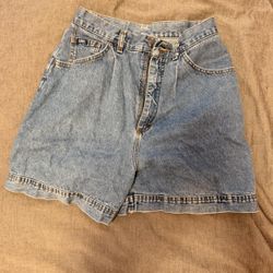 Jorts / Jean Shorts 