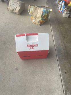 Play mate plus igloo cooler$20