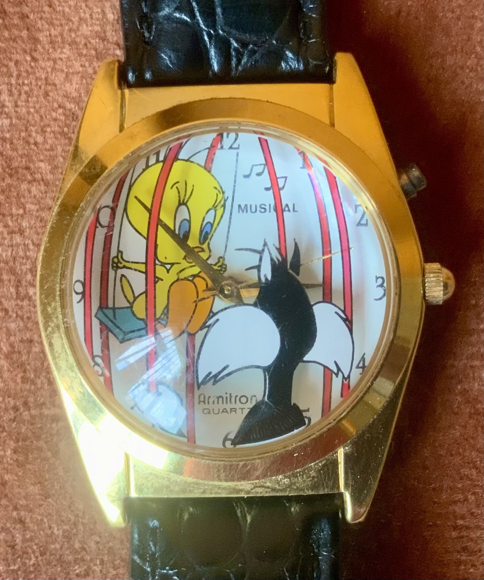 WARNER BROTHERS SYLVESTER AND TWEETY BIRD WATCH