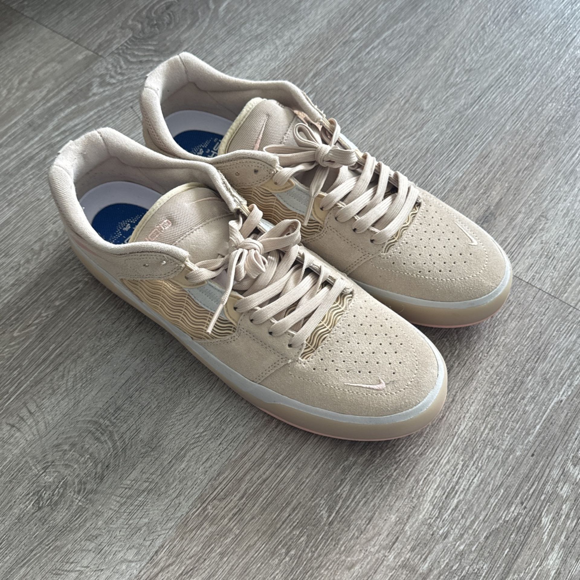 Nike sb Skating Shoes