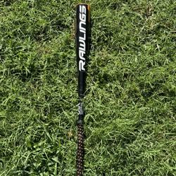 Bat – Rawlings Prodigy 