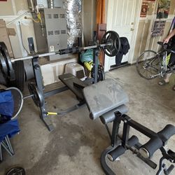 Weight Bench 