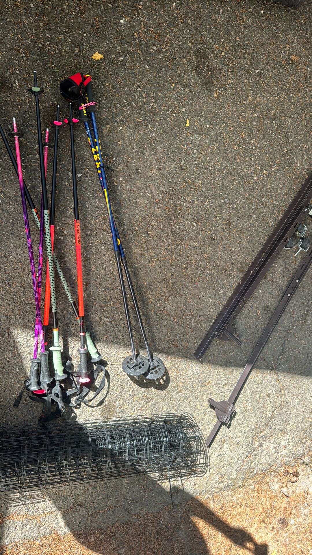 Ski Poles