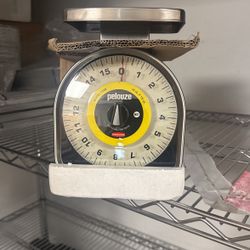 Mecanical Portion Control Scale 