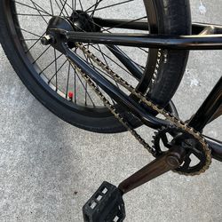 Professional BMX Bike (looking to trade for an ebike but I’ll pretty much take anything with wheels )